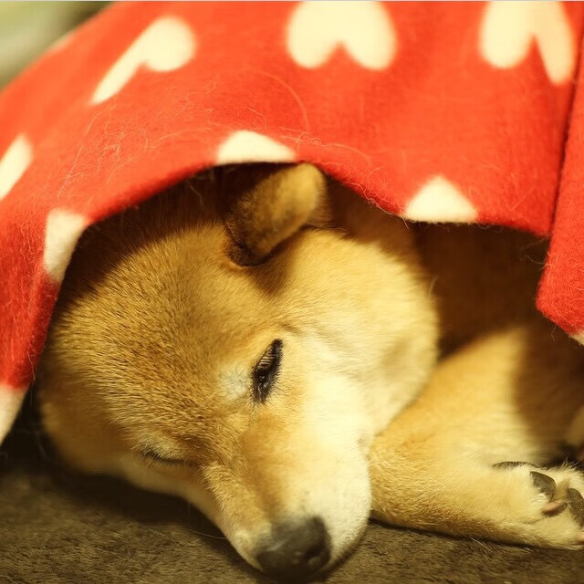 开云平台-欧洲足坛震撼双响,勒沃库森横扫克罗地亚劲旅,克瓦拉茨赫利亚西决生死战接管比赛