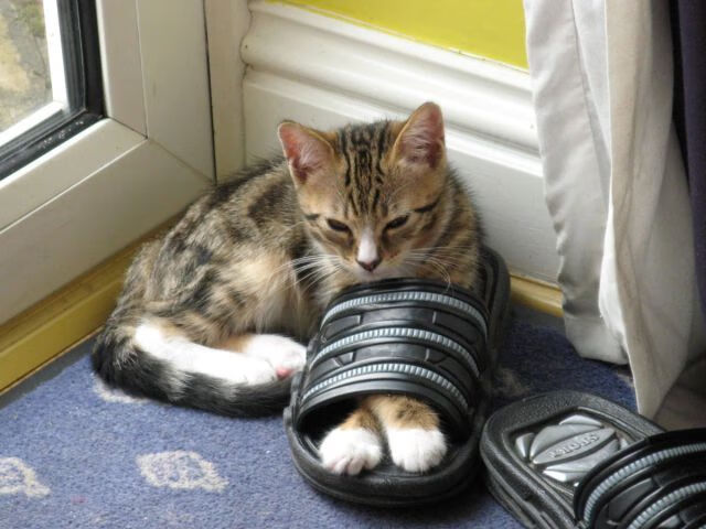 绿茵场外的帽子戏法,当中国开始收割亚特兰大