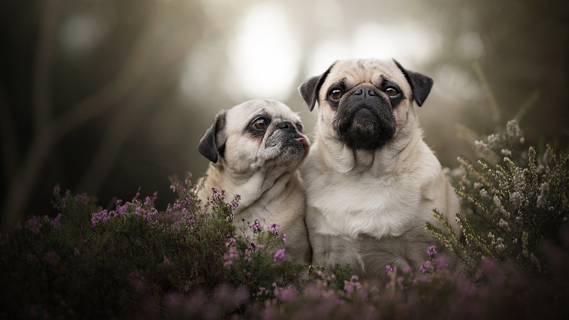 开云体育在线-火山终将喷发，哥斯达黎加踏平洪都拉斯，金玟哉完成淬火重生