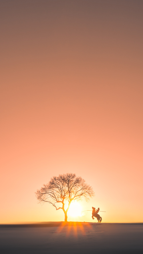 篮网淘汰国王晋级总决赛,欧文总决赛接管比赛,铸就传奇之夜