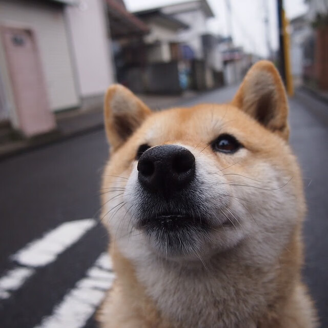 救赎的刻度,保罗的生涯之夜与时间之战