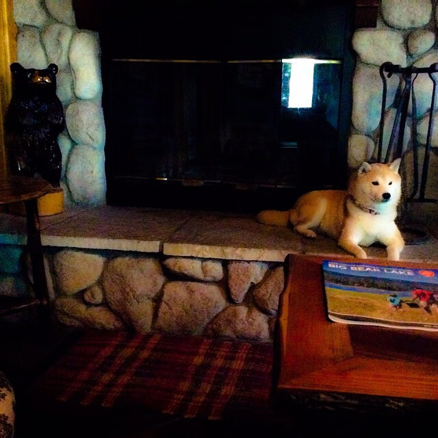 跨洋战术博弈，尼克斯精密体系绞杀广东，德罗赞冷血时刻定乾坤