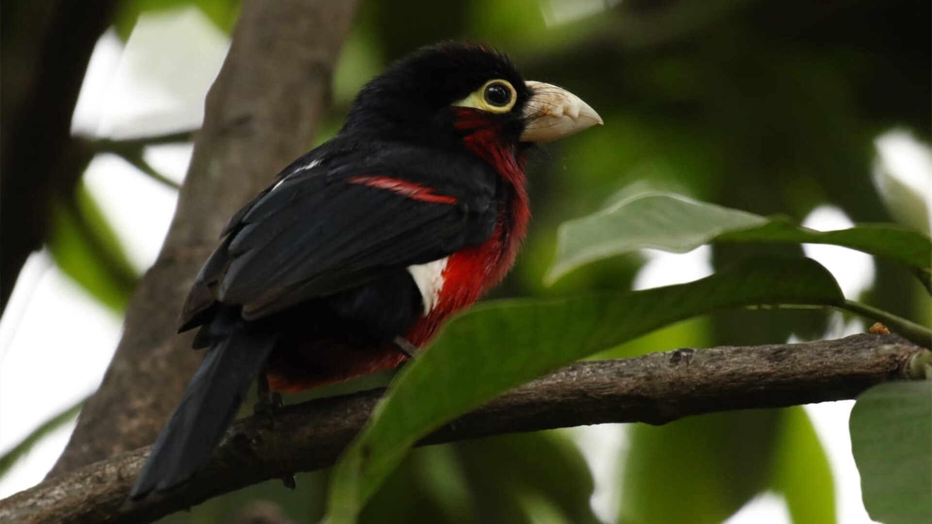 开云官网-双重突破之夜，从中国足球的涅槃到奥亚尔萨瓦尔的加冕