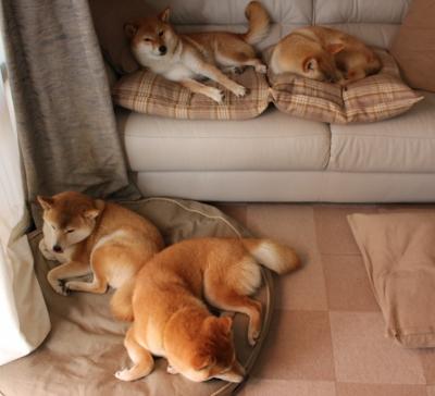 美洲杯赛场再演逆转好戏—智利稳稳拿下厄瓜多尔，格列兹曼三记神来之笔成关键先生