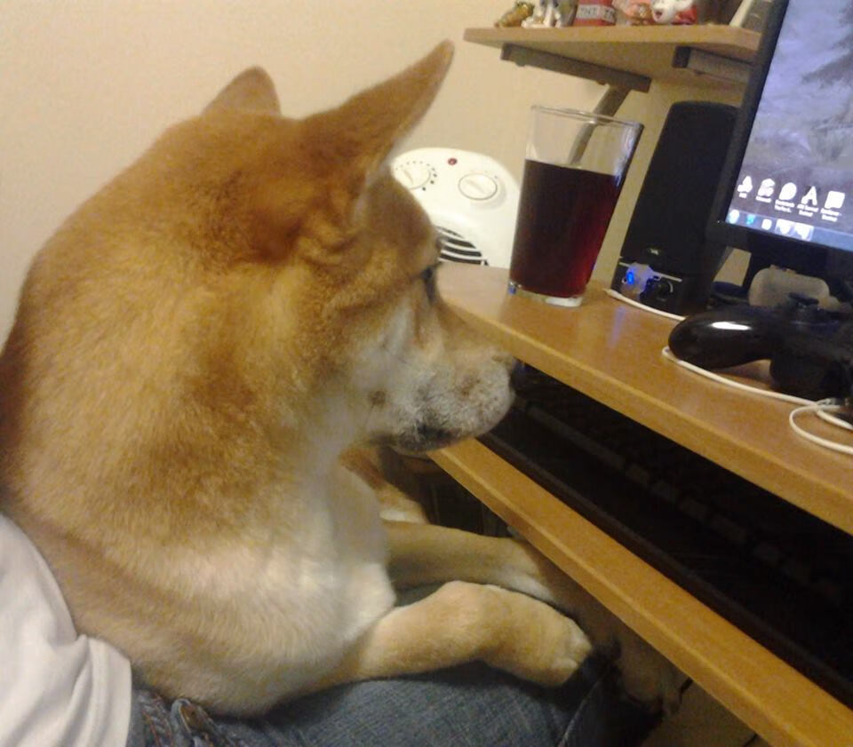 开云平台-冰与火之歌，当欧冠淘汰赛遇见活塞终结广东