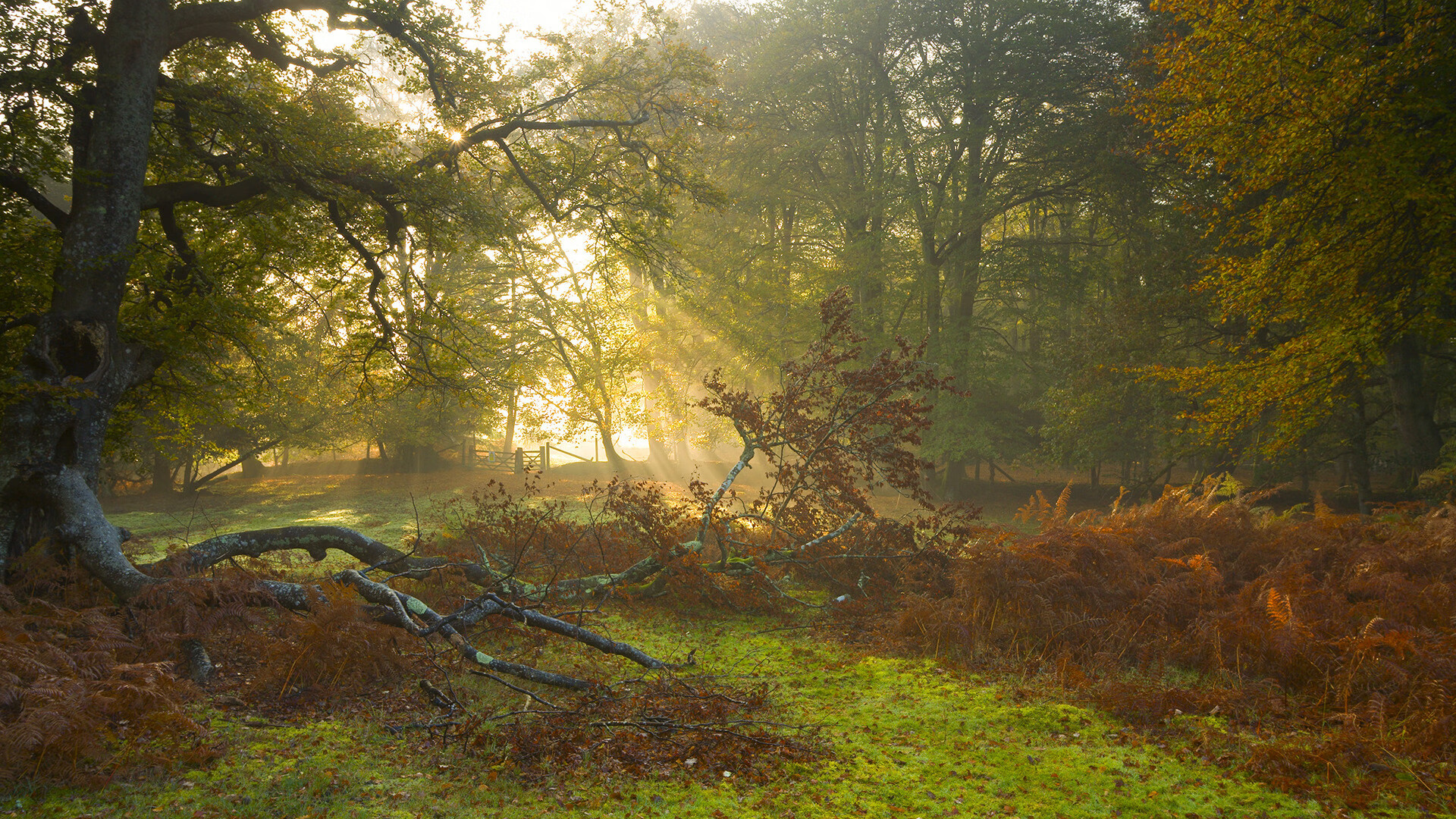 开云体育平台APP-双星闪耀，姆巴佩锁定全场最佳，玻利维亚上演惊天逆袭