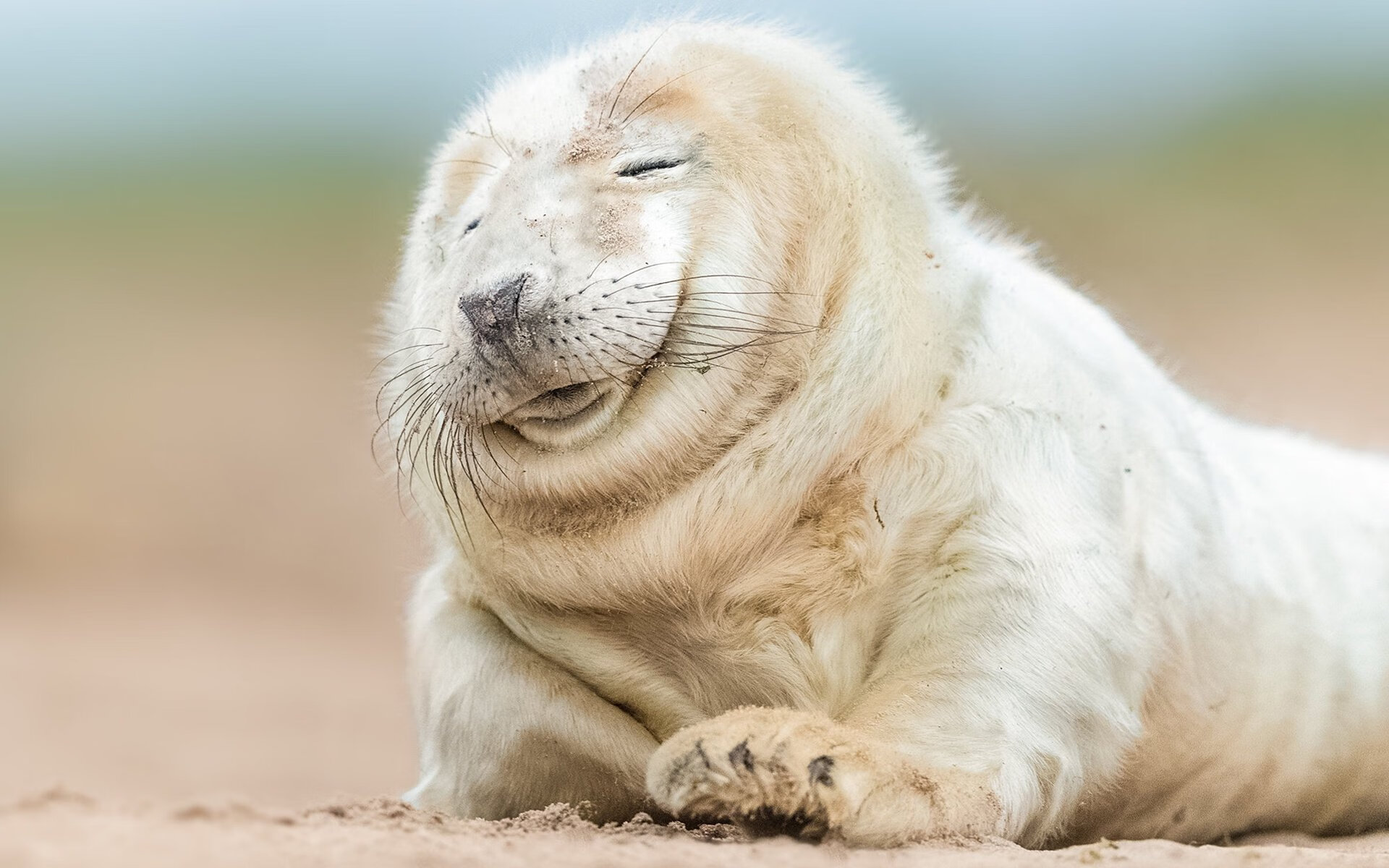 开云体育-东决风暴眼，巴西赤道热浪一波流卷碎冰岛极地寒流