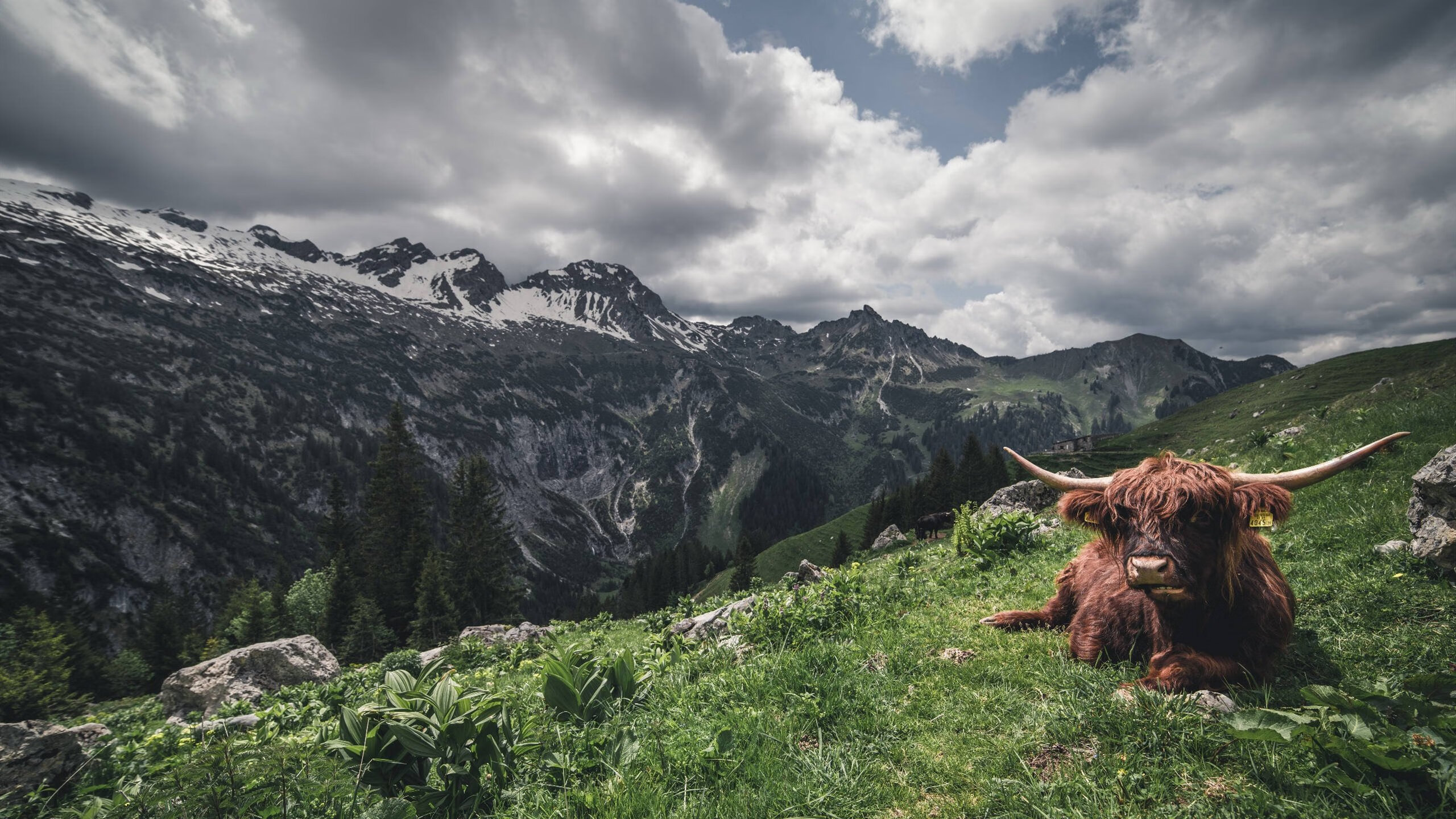 开云体育官网-足球世界的东决，莱比锡红牛如何用德国机器般的精密，粉碎亚特兰大的幻梦