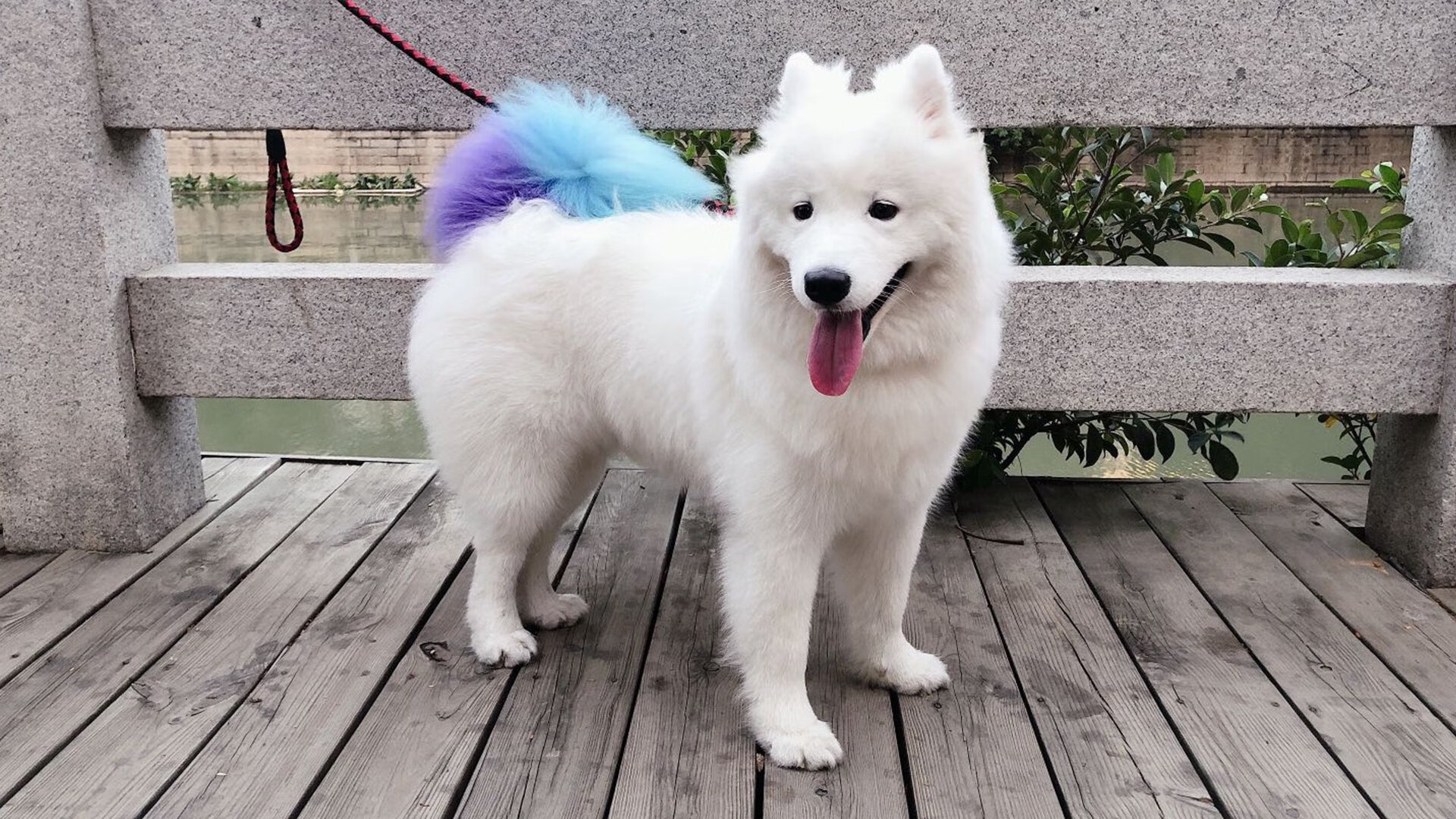 奥运烽火台前的唯一主角，奥斯梅恩在制空权之夜完成历史级压制