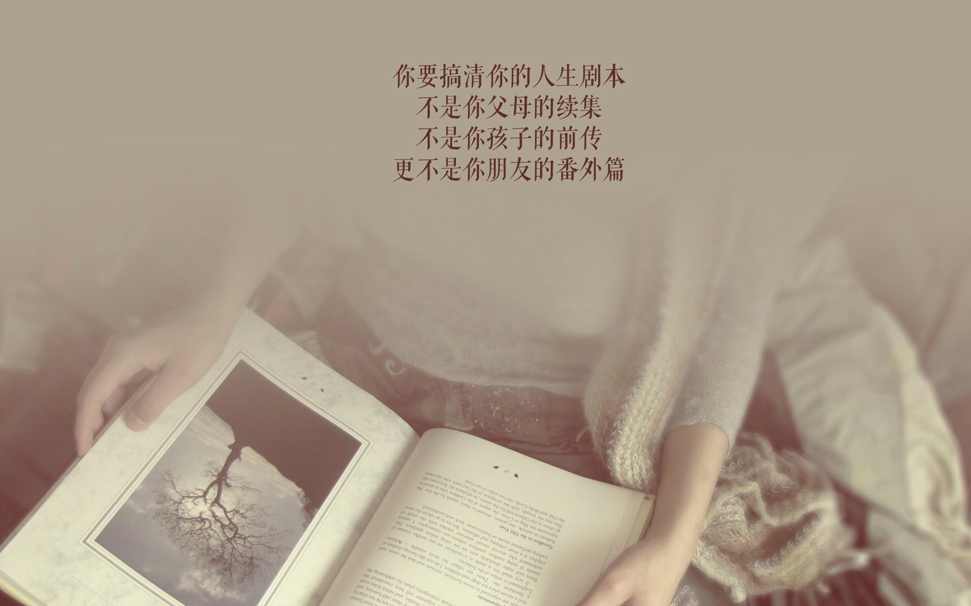 红白狂飙,2026世界杯C组关键战,奥地利碾压罗马尼亚,萨内领衔演绎东欧足球新秩序