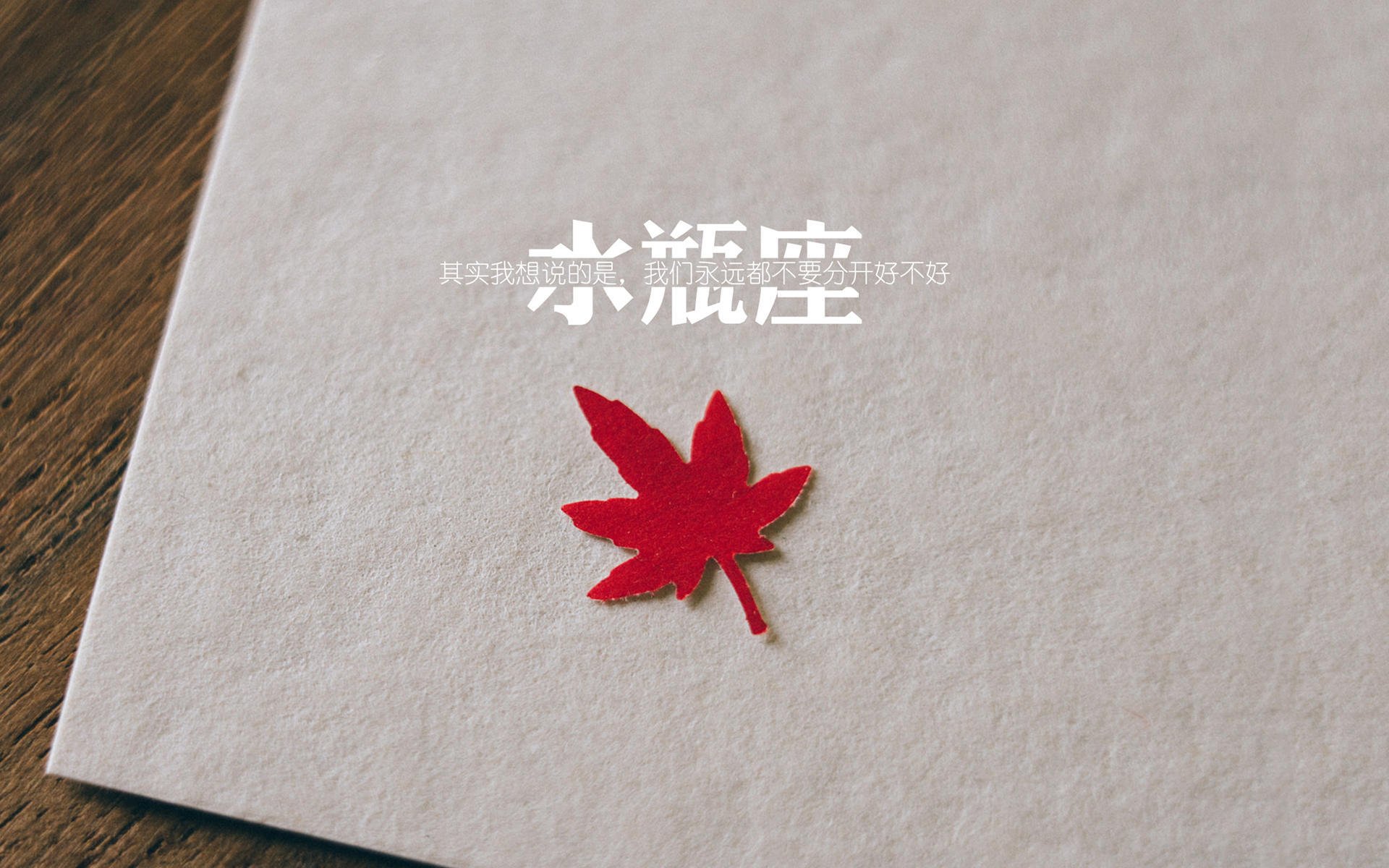 开云平台-冷夜狂飙,2026世界杯八分之一决赛,智利铁血逆转越南,萨内疾速反击撕裂南亚防线