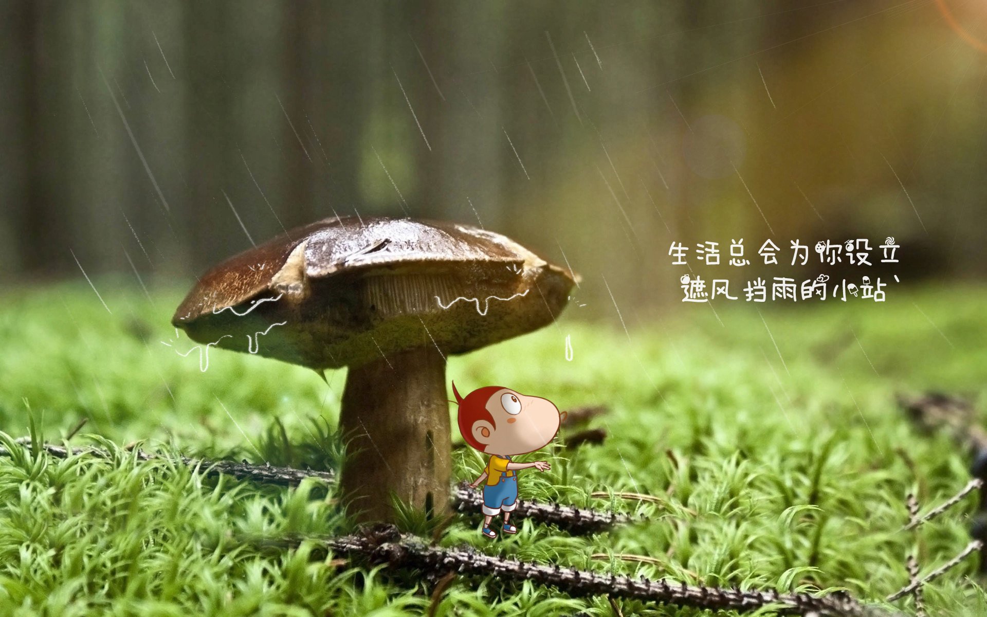 开云下载-2026世界杯E组生死夜,巴西绝杀乌拉圭,齐耶赫闪耀照亮摩洛哥荣光