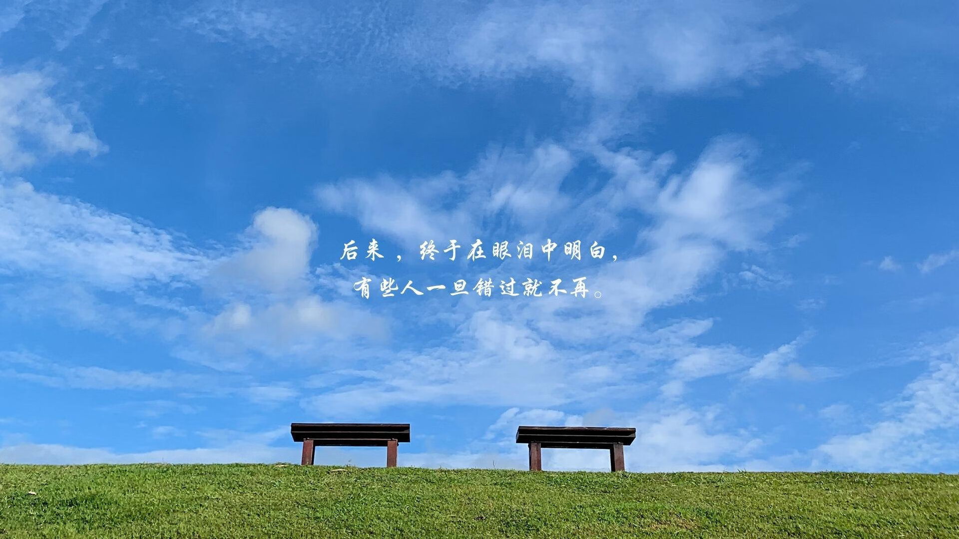 2026世界杯H组窒息之战,葡萄牙高压锁喉印度,范戴克铁树开花完成致命一击