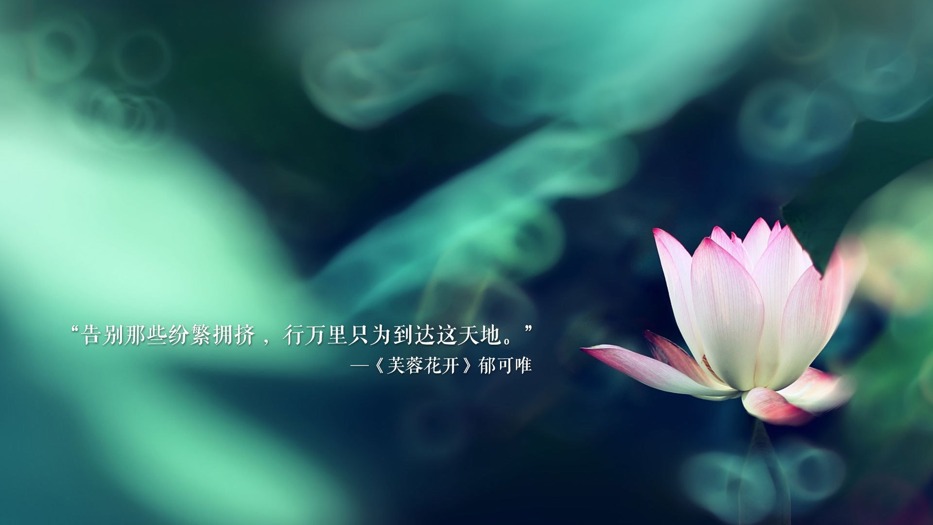 开云下载-命运的十字路口，2026世界杯E组，萨内如何成为改写加巴之战的唯一钥匙